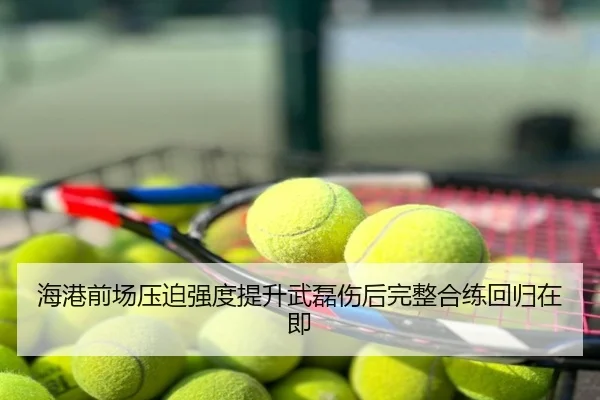 海港前场压迫强度提升武磊伤后完整合练回归在即